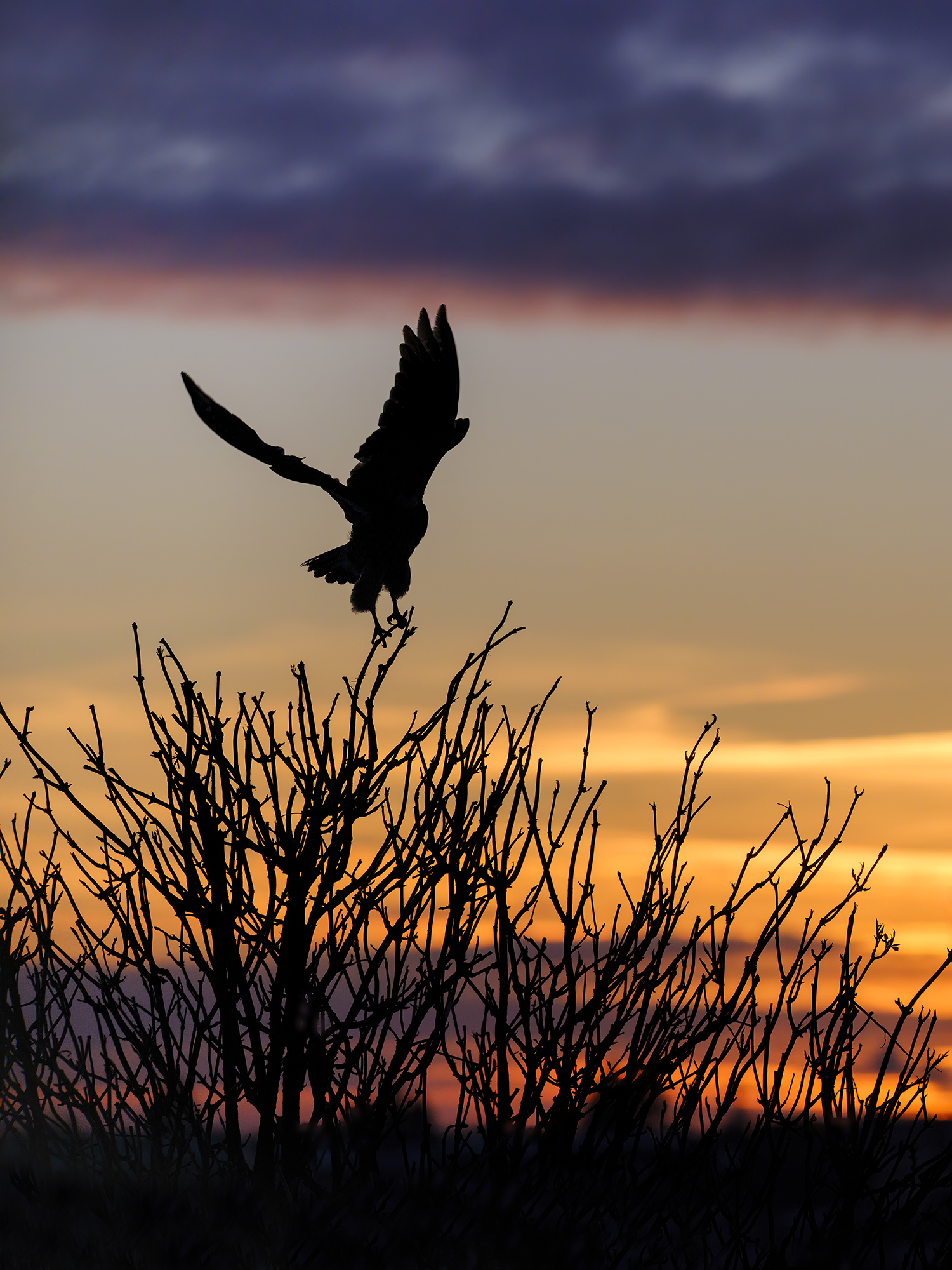 Aufbruch zu einem der ...